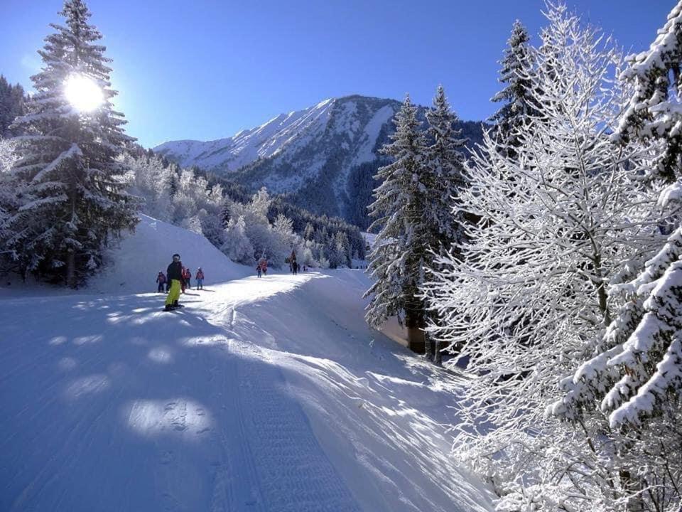 Le Grandcoeur Διαμέρισμα Le Bourg-dʼOisans Εξωτερικό φωτογραφία